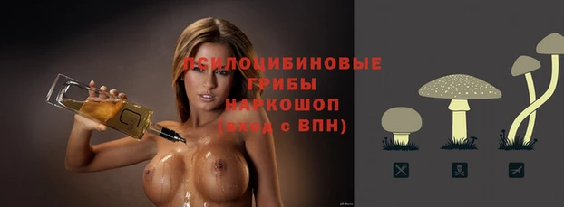винт Баксан