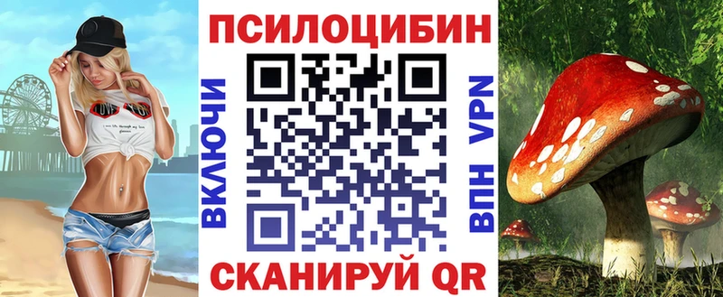дарк нет Telegram  mega как зайти  Краснослободск  Псилоцибиновые грибы GOLDEN TEACHER 