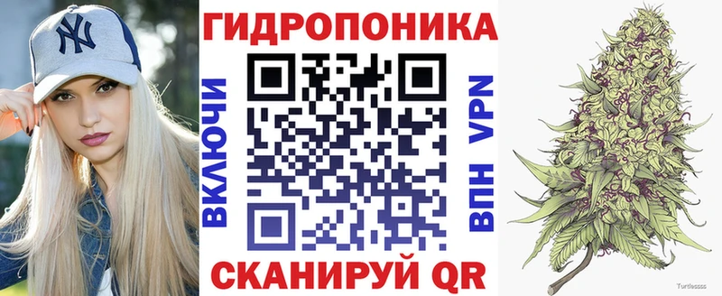 МЕГА ONION  Краснослободск  shop как зайти  Бошки Шишки индика 